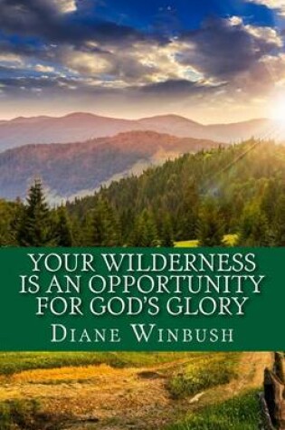 Cover of Your Wilderness is An Opportunity for God's Glory