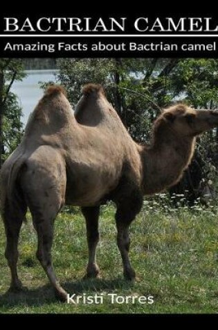 Cover of Amazing Facts about Bactrian Camel