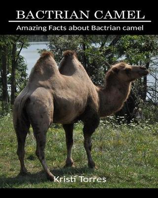 Book cover for Amazing Facts about Bactrian Camel