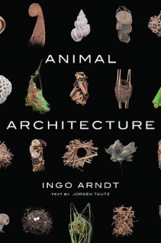 Cover of Animal Architecture