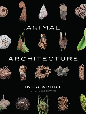 Book cover for Animal Architecture