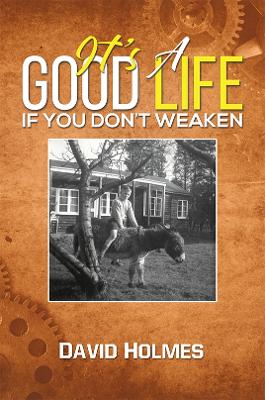 Book cover for It's a Good Life If You Don't Weaken