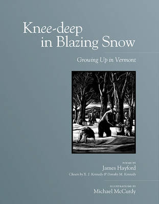 Book cover for Knee-deep in Blazing Snow