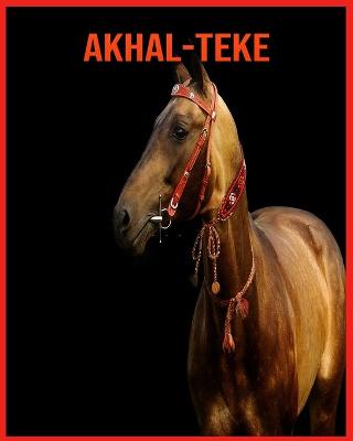 Book cover for Akhal-Teke