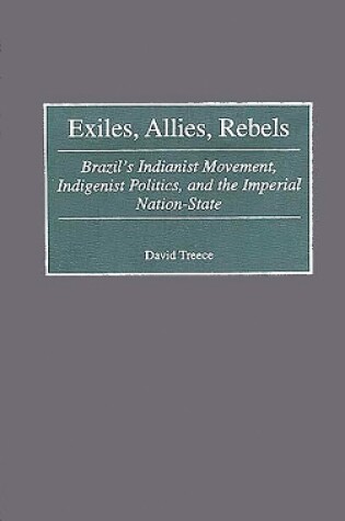 Cover of Exiles, Allies, Rebels