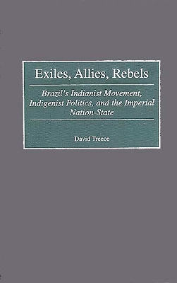 Book cover for Exiles, Allies, Rebels