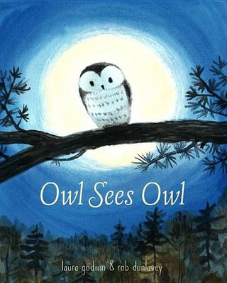 Book cover for Owl Sees Owl