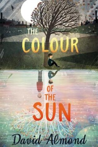 Cover of The Colour of the Sun