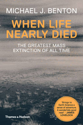 Book cover for When Life Nearly Died