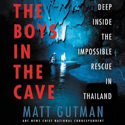 Book cover for The Boys in the Cave