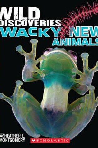 Cover of Wild Discoveries: Weird and Wacky Animals