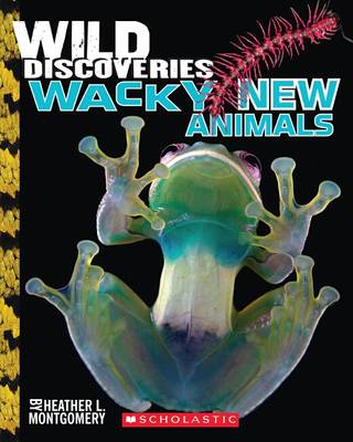 Cover of Wild Discoveries: Weird and Wacky Animals