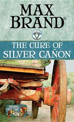 Book cover for The Cure Of Silver Canon