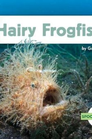 Cover of Hairy Frogfish