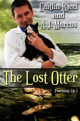 Book cover for The Lost Otter