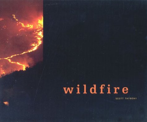 Book cover for Wildfire