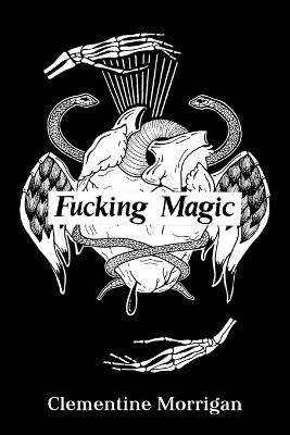 Book cover for Fucking Magic