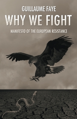 Book cover for Why We Fight