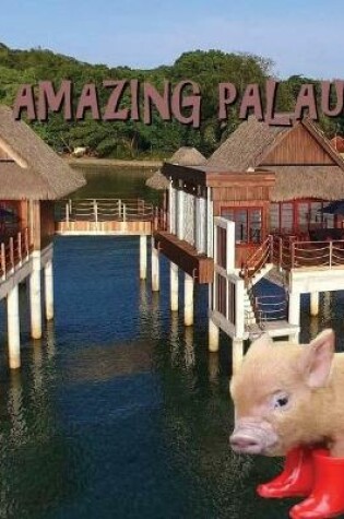 Cover of Amazing Palau