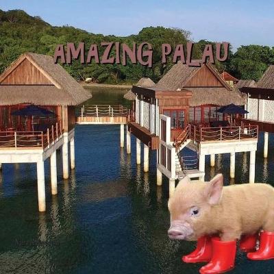Cover of Amazing Palau
