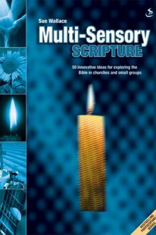 Cover of Multi-sensory Scripture