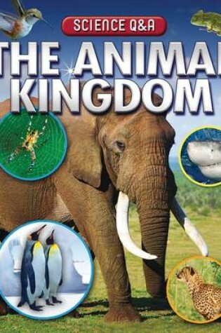 Cover of The Animal Kingdom