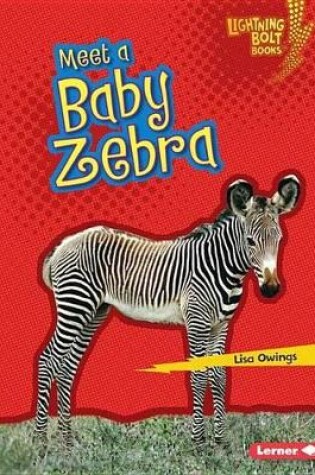 Cover of Meet a Baby Zebra