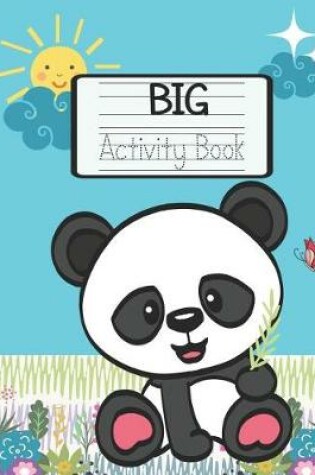 Cover of Big Activity Book