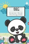 Book cover for Big Activity Book