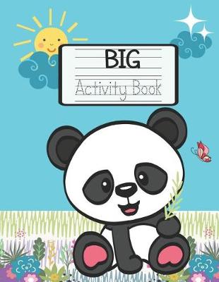 Book cover for Big Activity Book