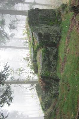 Book cover for Massive Moss Covered Rock in the Forest Journal