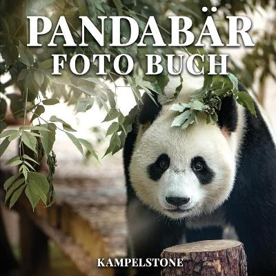 Book cover for Pandabär Foto Buch