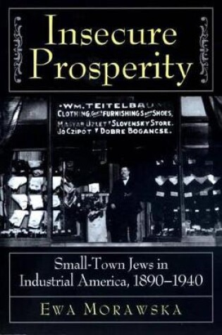 Cover of Insecure Prosperity