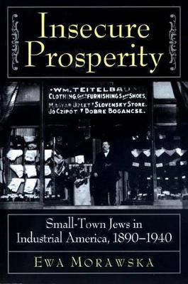 Book cover for Insecure Prosperity