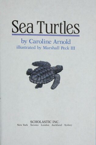 Cover of Sea Turtles