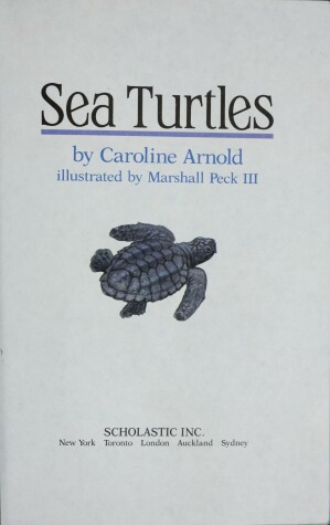 Book cover for Sea Turtles