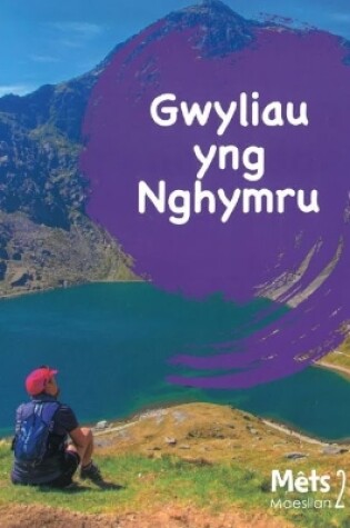 Cover of Mêts Maesllan 2 - Gwyliau yng Nghymru