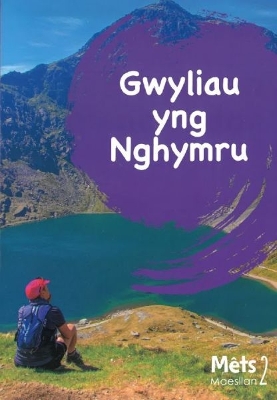 Book cover for Mêts Maesllan 2 - Gwyliau yng Nghymru