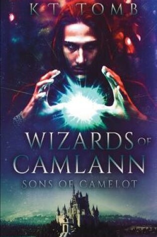 Cover of Wizards of Camlann