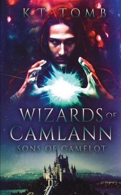 Book cover for Wizards of Camlann