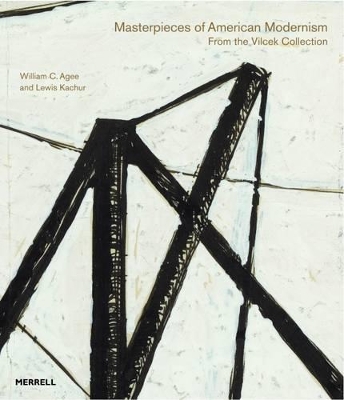 Book cover for Masterpieces of American Modernism: From the Vilcek Collection