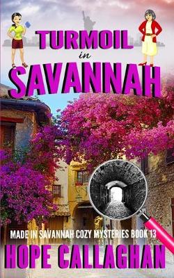 Book cover for Turmoil in Savannah