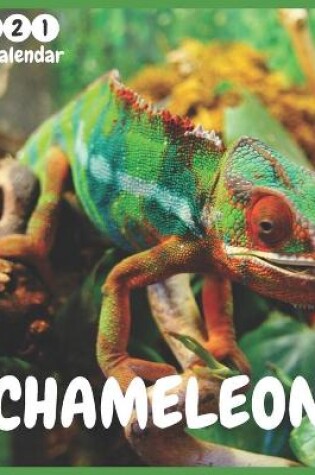 Cover of Chameleon 2021 Wall Calendar