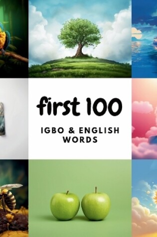 Cover of First 100 Igbo & English Words