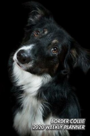 Cover of Border Collie 2020 Weekly Planner