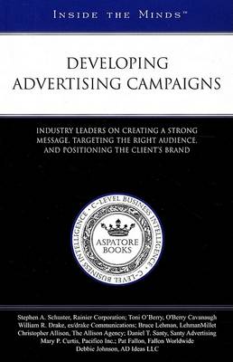 Book cover for Developing Advertising Campaigns