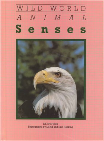 Book cover for Animal Senses
