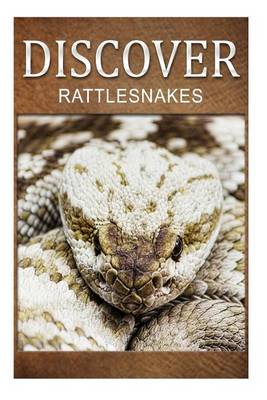 Book cover for Rattle Snakes - Discover