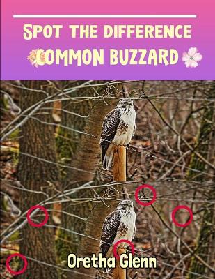 Cover of Spot the difference Common Buzzard