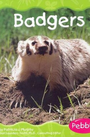 Cover of Badgers